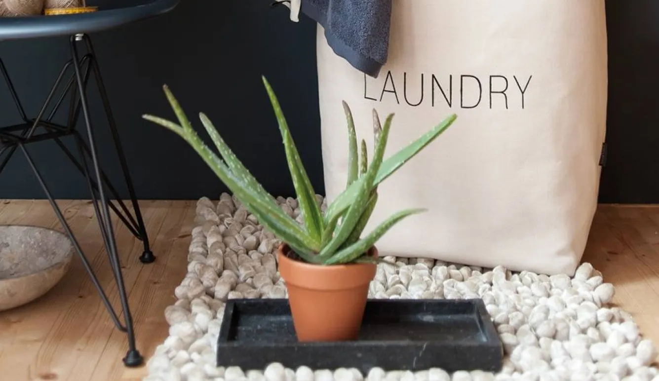 Aquanova Bath mat ROCCA Ivory-10, ivory