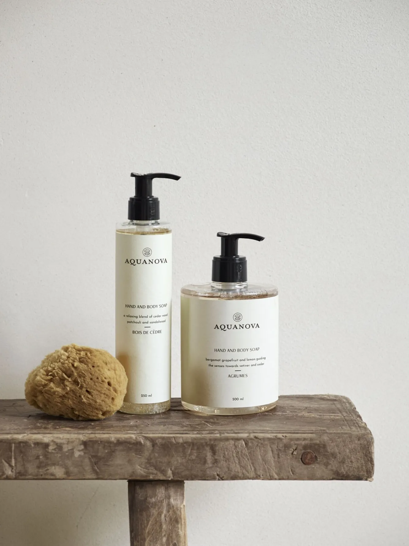 Aquanova Liquid soap PARIS Thé Vert - 500 ml (PARLDM-TVE)