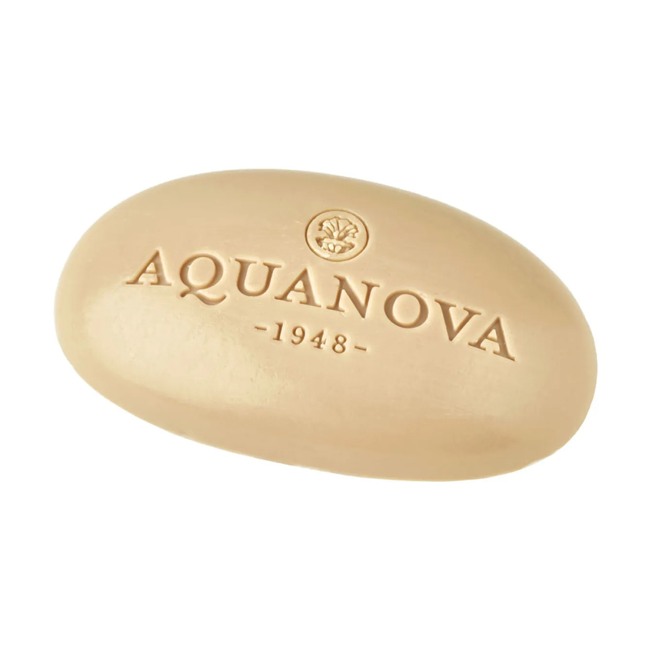 Aquanova Soap PARIS Gingembre - 100 gr (PARSPL-GIN)