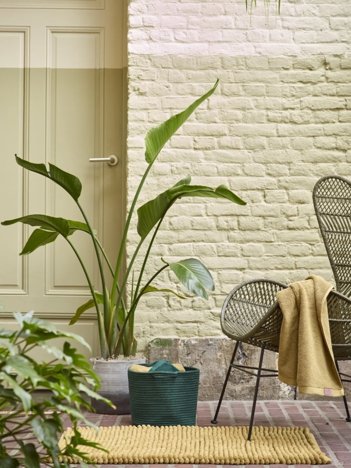 Aquanova Storage basket RENA color Pine-223 (Medium)