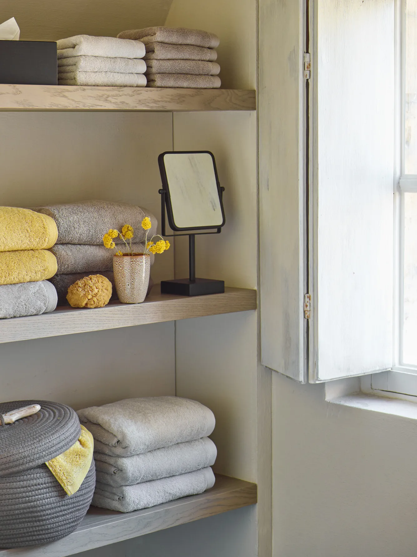 Aquanova Tissue holder COLE color Black-09