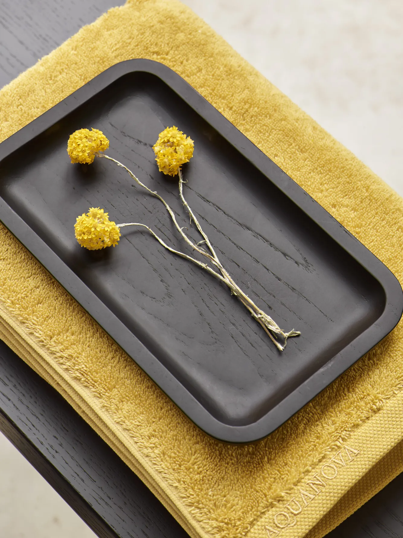 Aquanova Tray rectangle COLE color Black-09