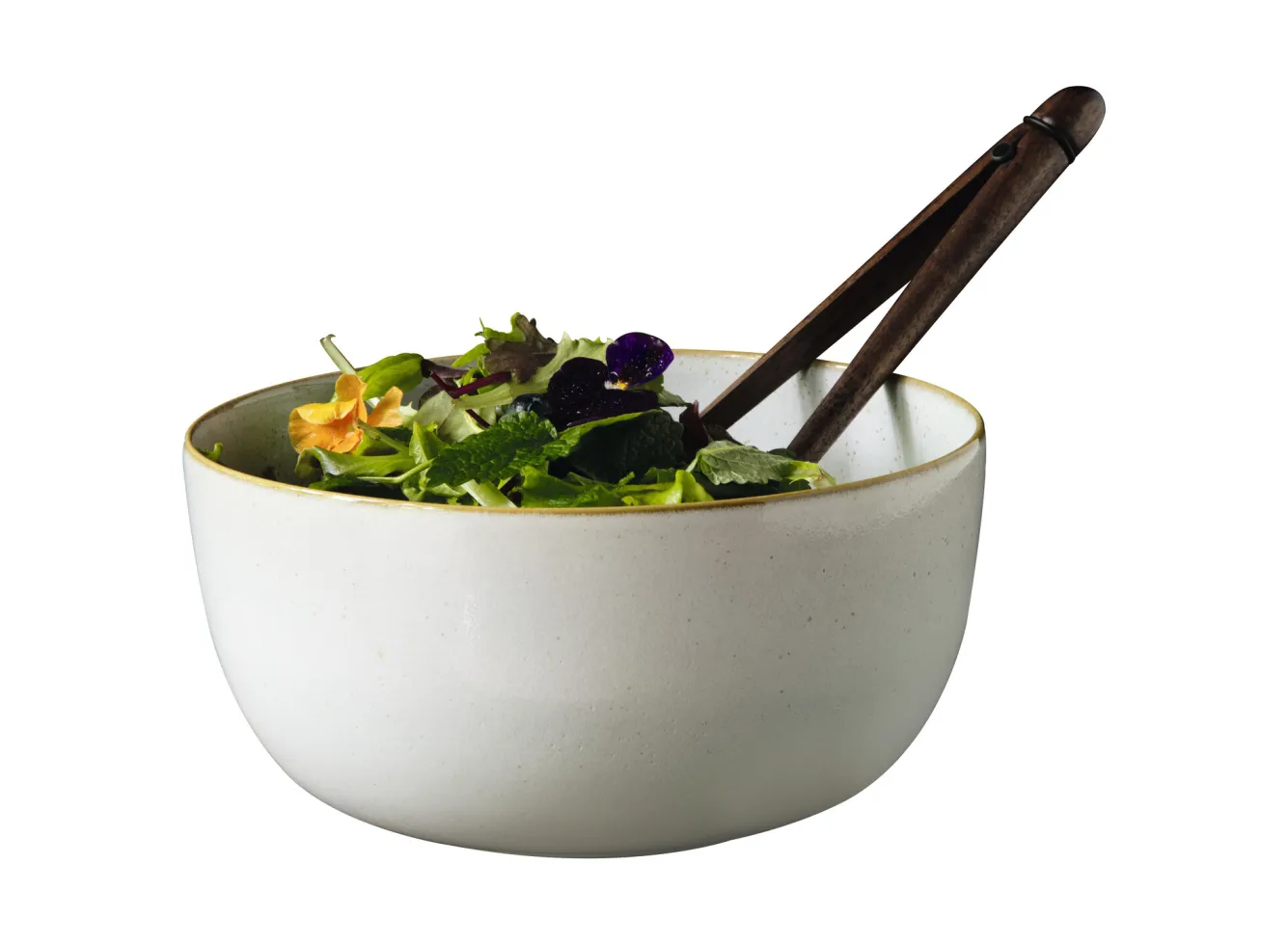 ASA Selection SAISONS bowl 22 cm color Sand (beige)