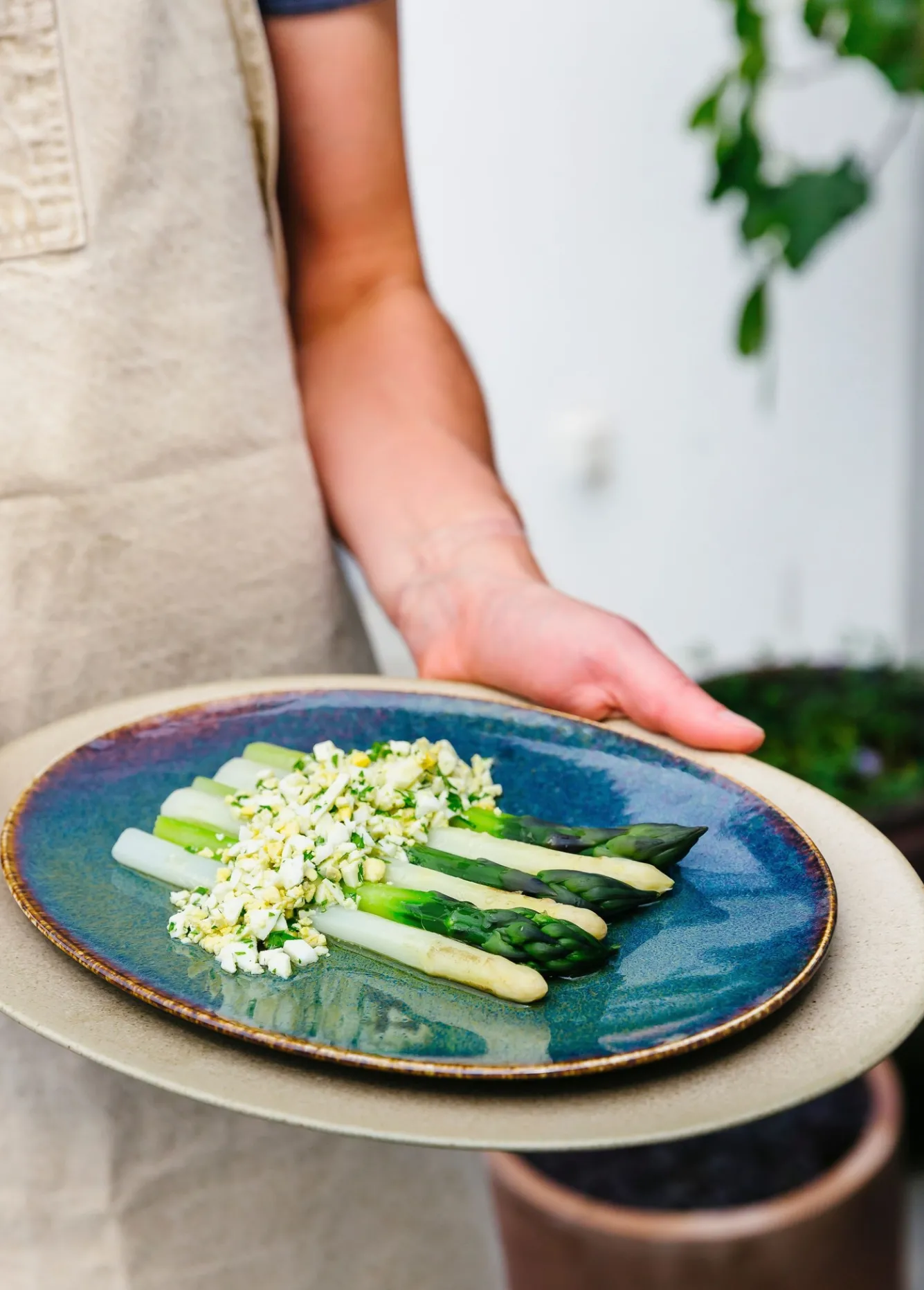 BonBistro CIRRO flat plate 27 cm - Beige (740952)