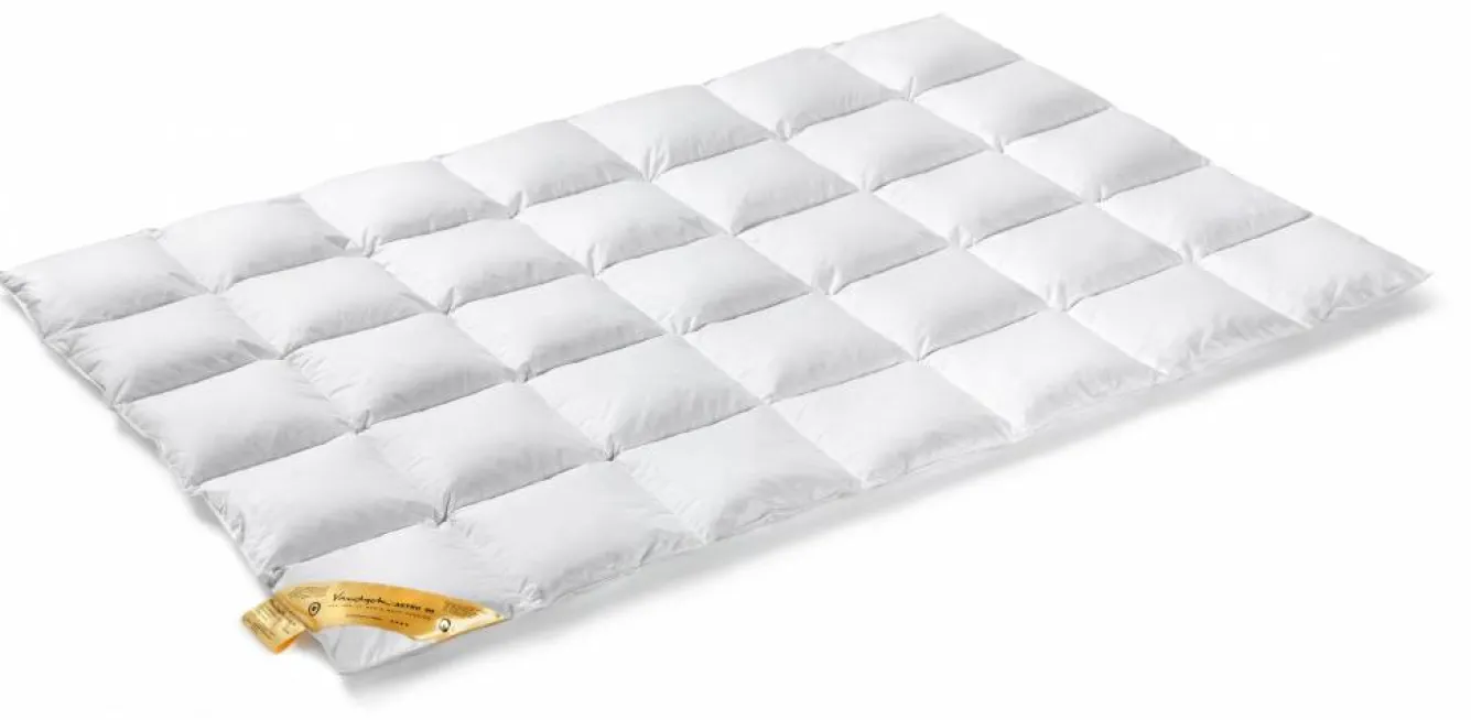 Vandyck Duvet 90% down ASTRO solo (BE001 510)