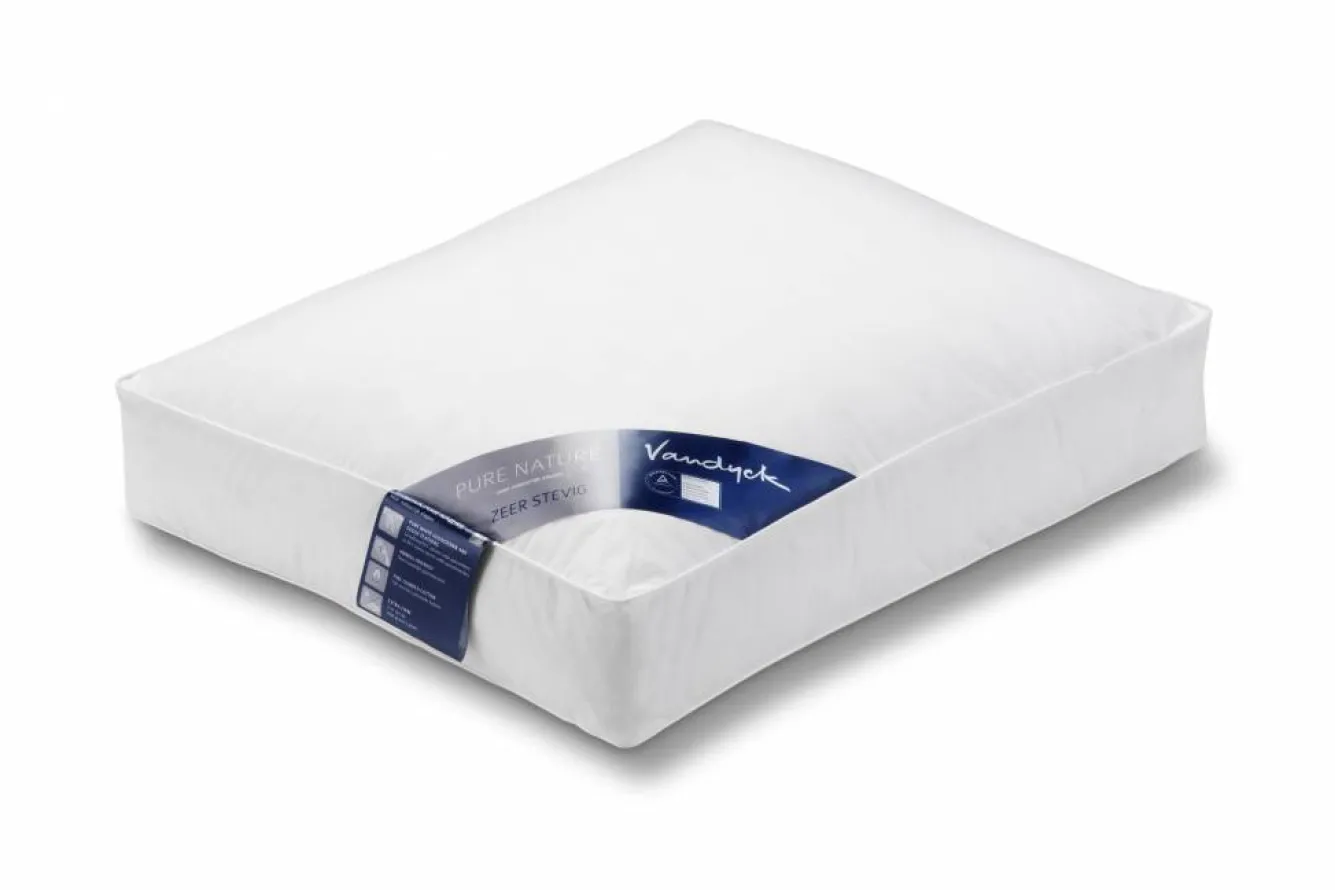 Vandyck Firm box pillow down PURE NATURE 15 (navy label) BE101 560 007