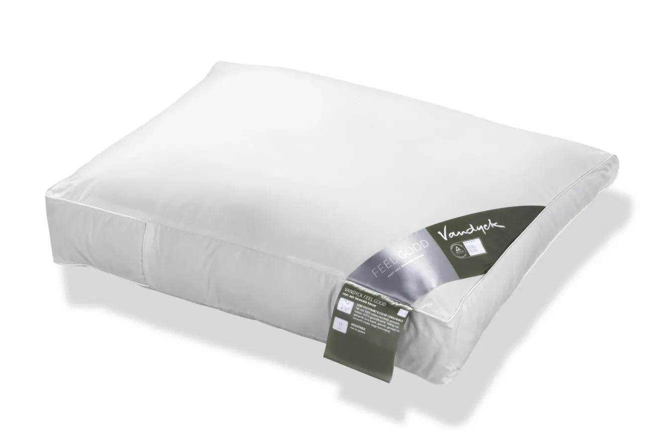 Vandyck Pillow FEELGOOD firm (BFFG14104)