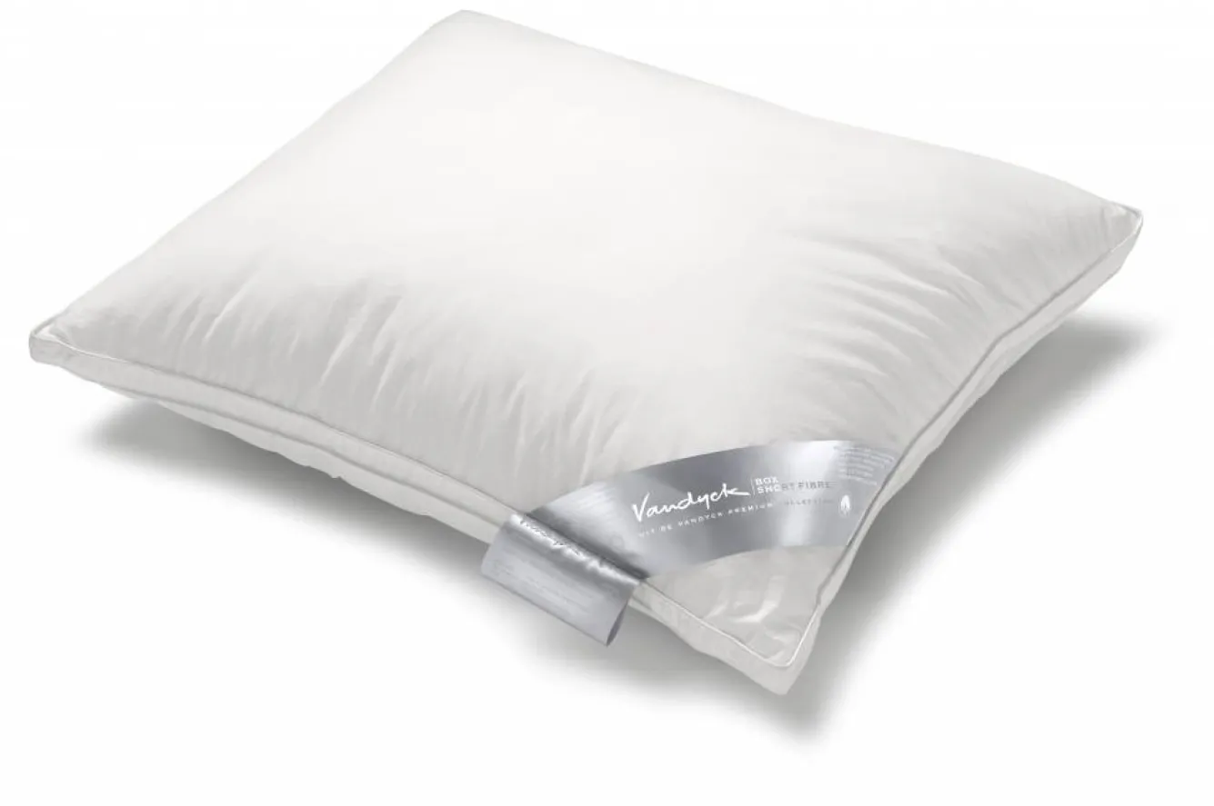Vandyck Premium pillow BOX SHORT FIBER (refillable / washable) BEPR8110 561
