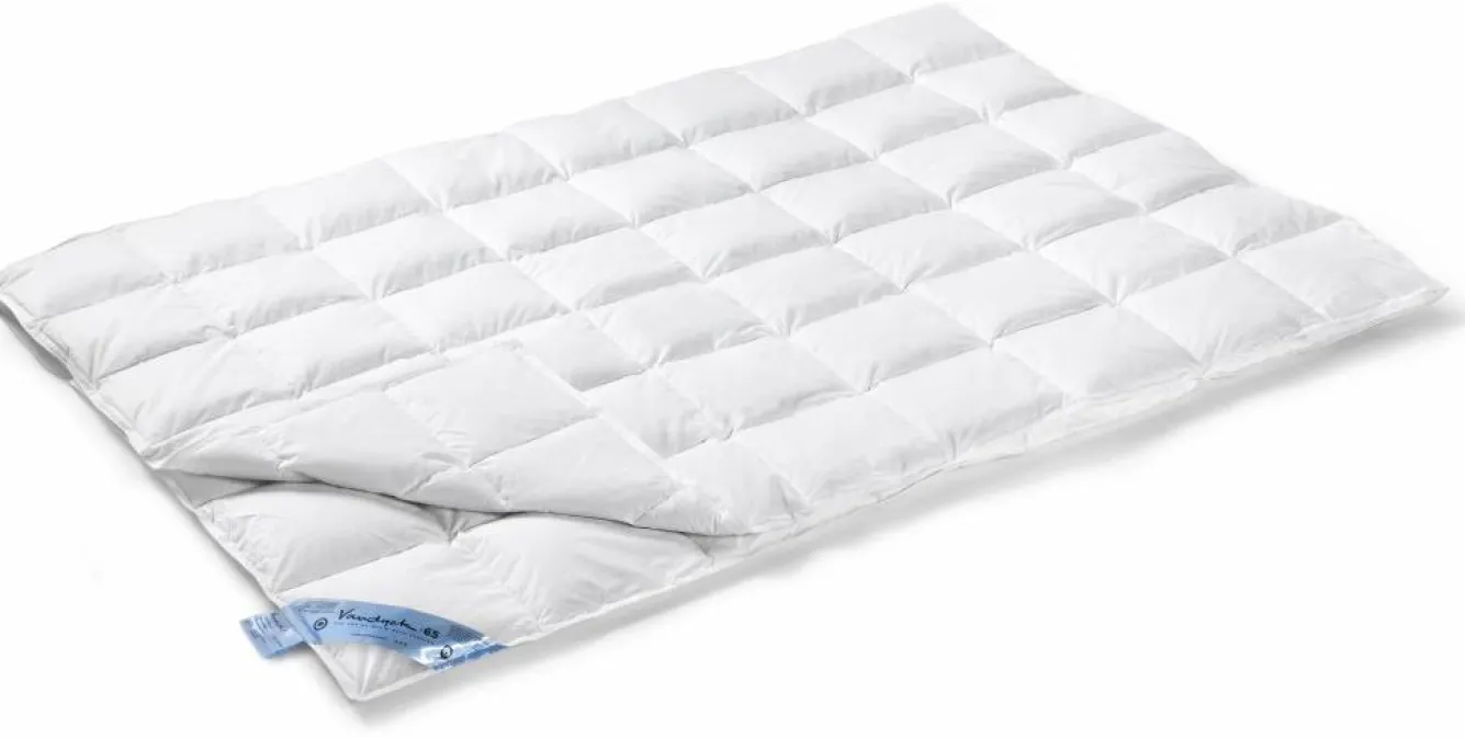 Vandyck 4-season duvet 65% down VANDYCK duo (BE015 621)