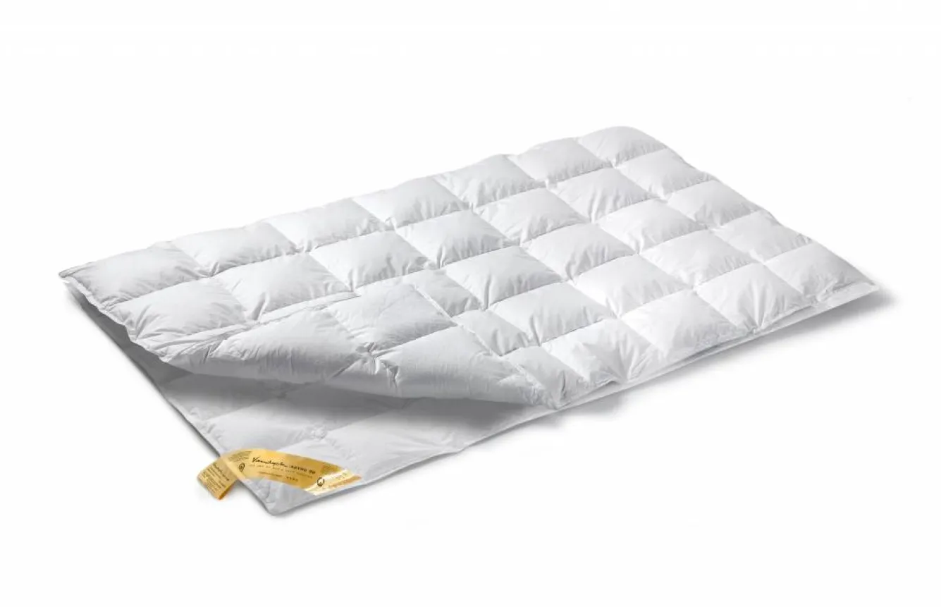 Vandyck 4-season duvet 90% down ASTRO Duo (BE001 511)