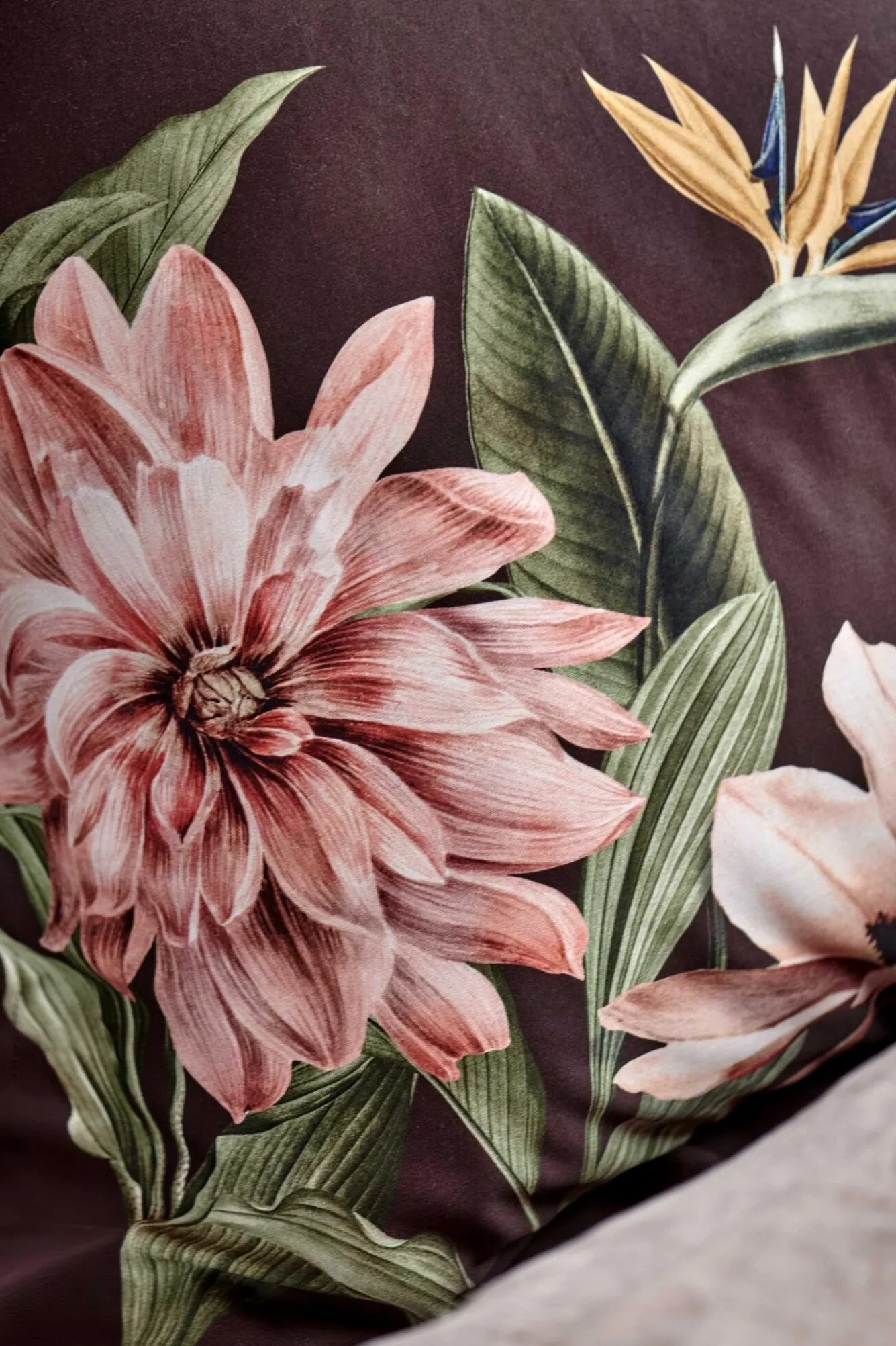 Vandyck Vandyck PARADISE BLOOM duvet cover Dark Chocolate 240x220 cm